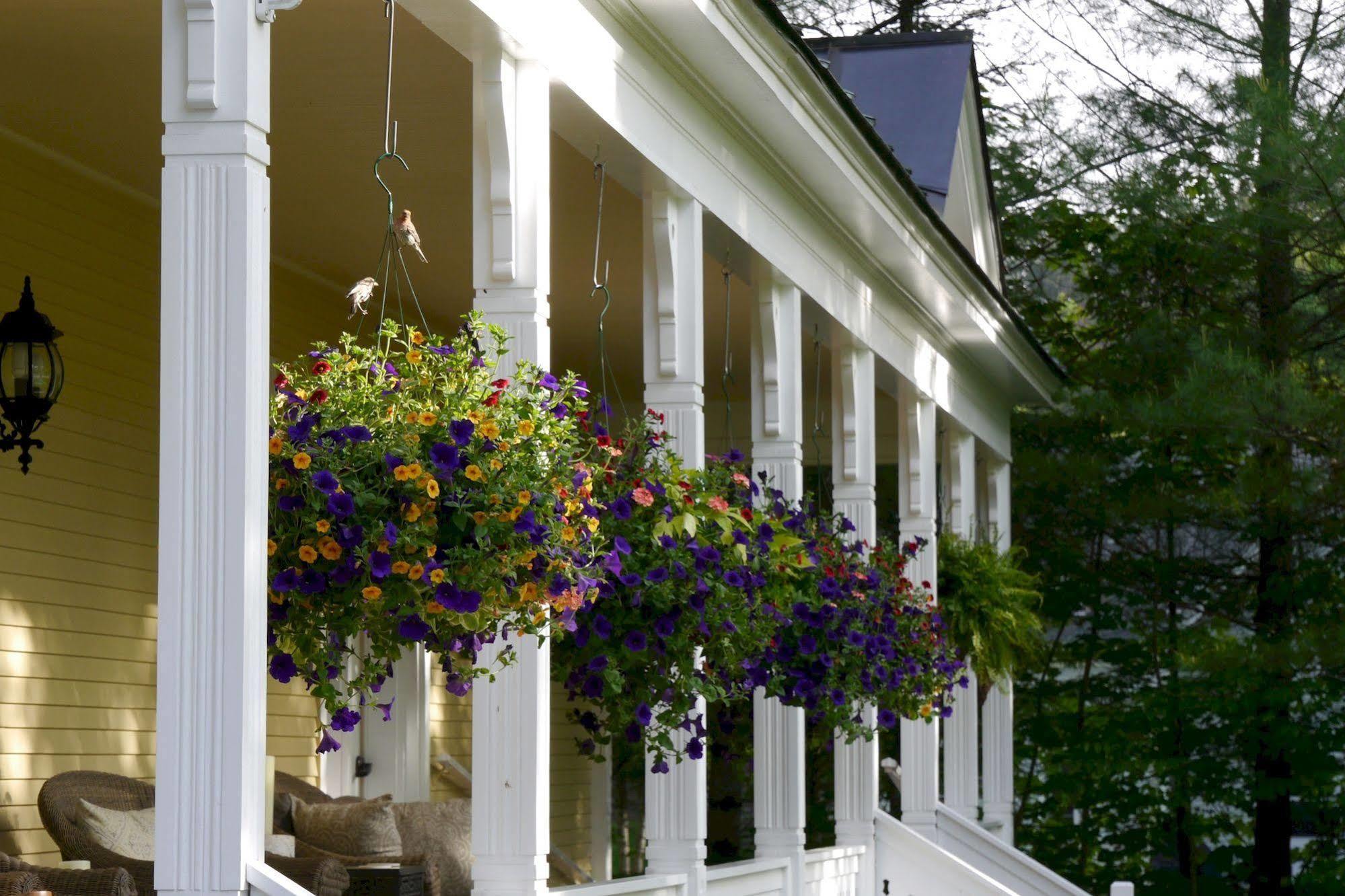 Hotel The Jackson à Woodstock Extérieur photo